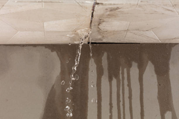 Professional Structural Drying technician working in Volga, SD